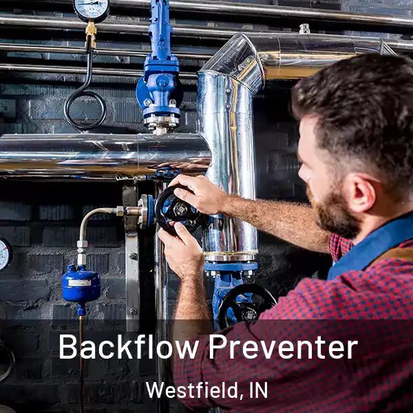  Backflow Preventer Westfield, IN