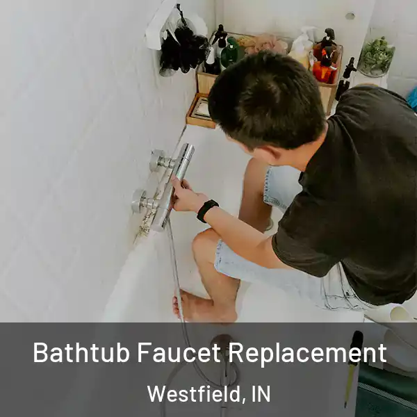  Bathtub Faucet Replacement Westfield, IN