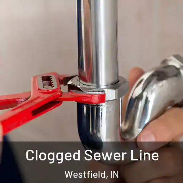  Clogged Sewer Line Westfield, IN