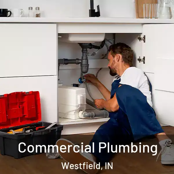  Commercial Plumbing Westfield, IN
