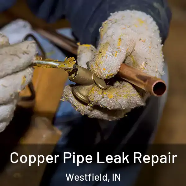  Copper Pipe Leak Repair Westfield, IN