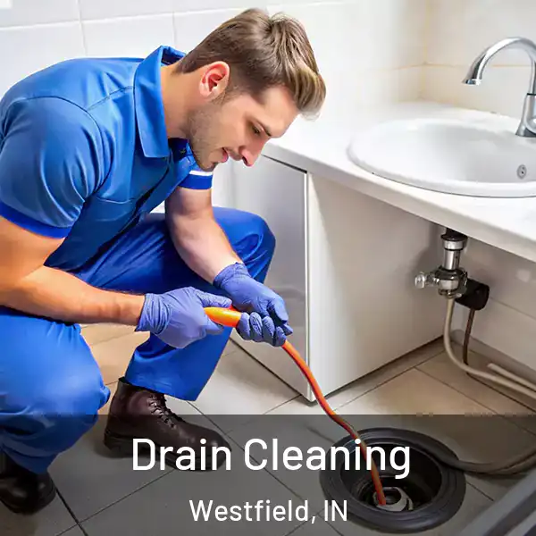  Drain Cleaning Westfield, IN