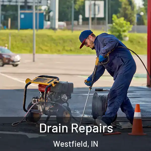  Drain Repairs Westfield, IN