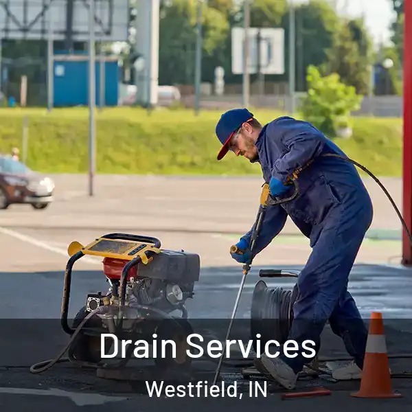  Drain Services Westfield, IN