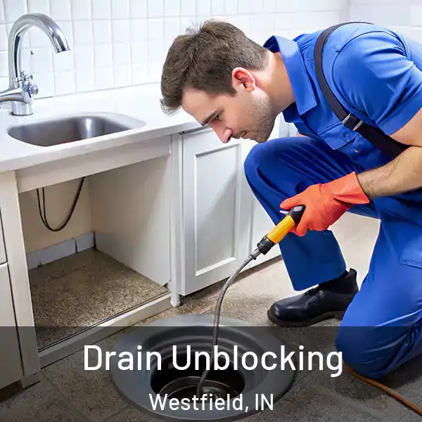  Drain Unblocking Westfield, IN