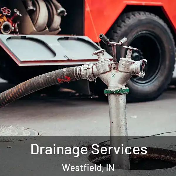  Drainage Services Westfield, IN