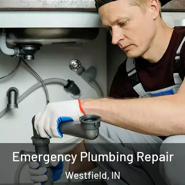  Emergency Plumbing Repair Westfield, IN