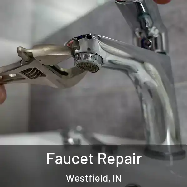 Faucet Repair Westfield, IN