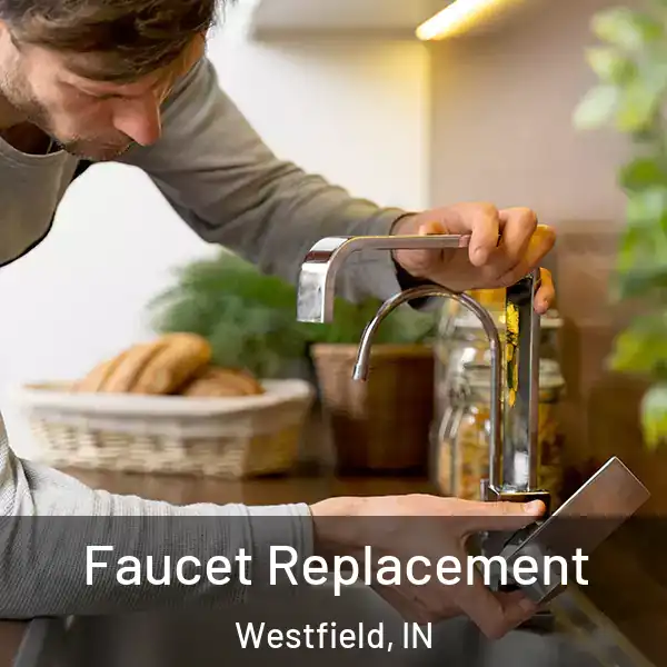  Faucet Replacement Westfield, IN