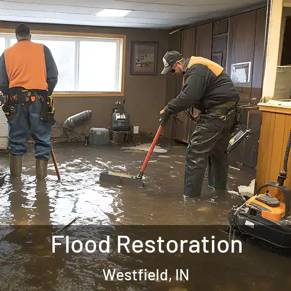  Flood Restoration Westfield, IN