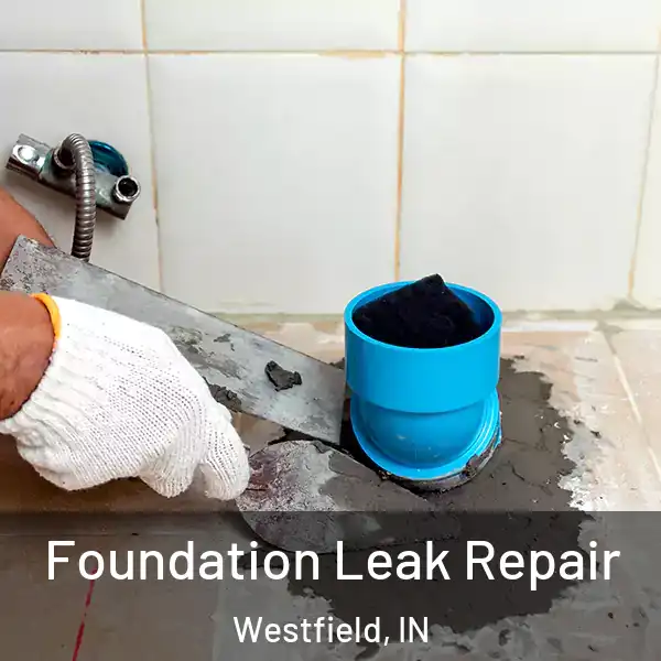  Foundation Leak Repair Westfield, IN
