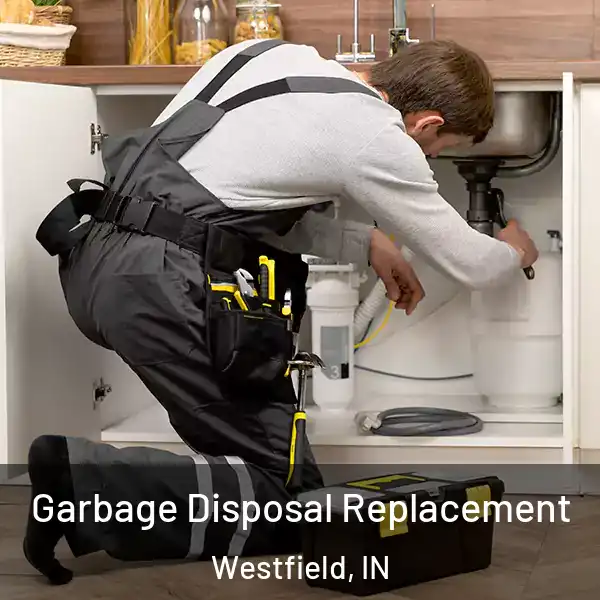  Garbage Disposal Replacement Westfield, IN