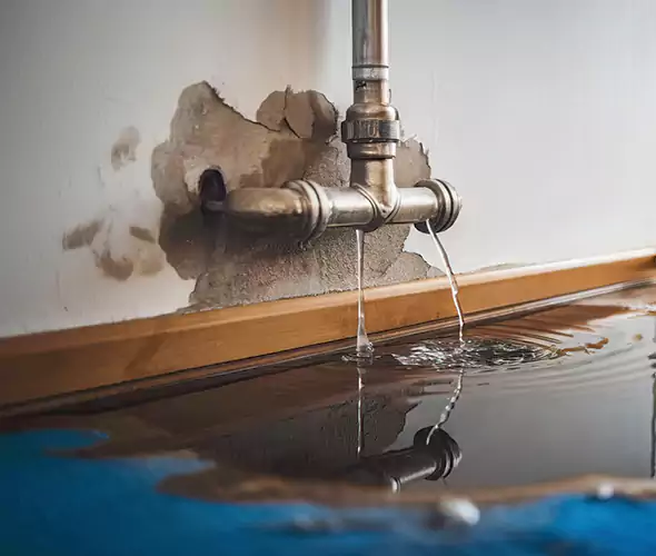 Professional Water Damage Restoration Experts in Westfield, IN — Fast, Reliable & Certified