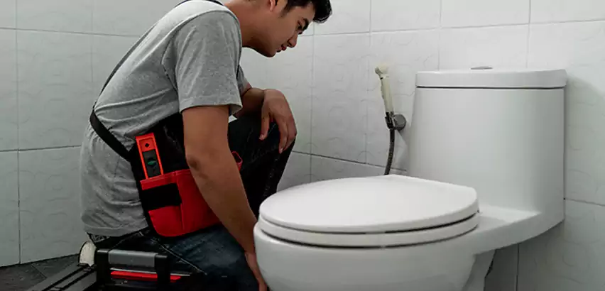 Toilet Repair in Westfield