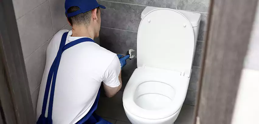 Toilet Lid Replacement in Westfield