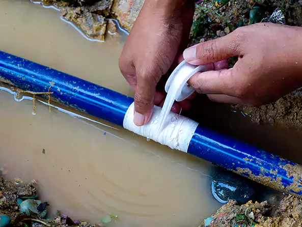 Why Choose Mr. Plumber Westfield for Leak Detection in Westfield, IN?]