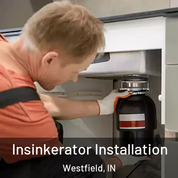  Insinkerator Installation Westfield, IN