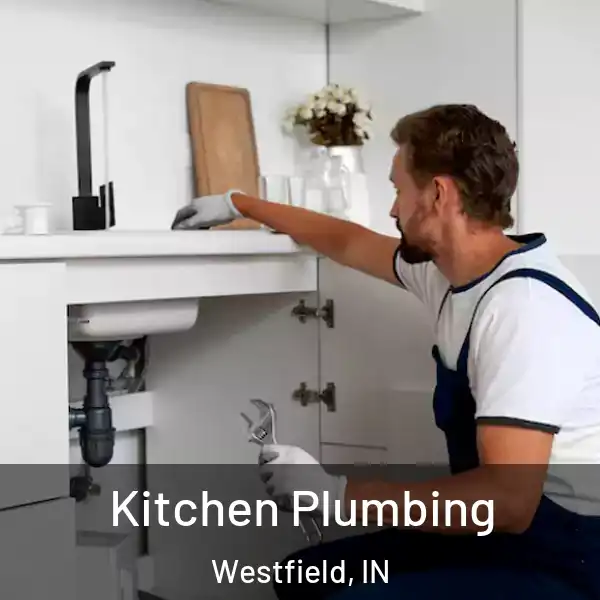  Kitchen Plumbing Westfield, IN