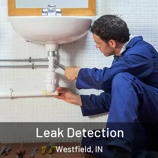  Leak Detection Westfield, IN
