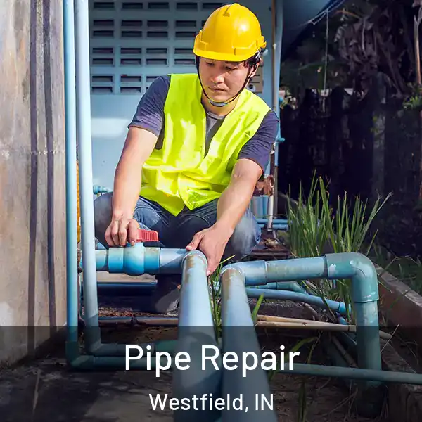  Pipe Repair Westfield, IN
