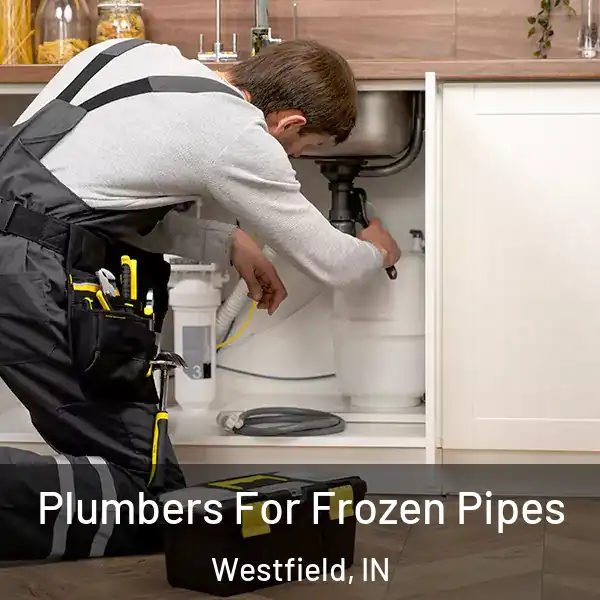  Plumbers For Frozen Pipes Westfield, IN