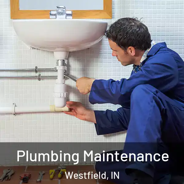 Plumbing Maintenance Westfield, IN