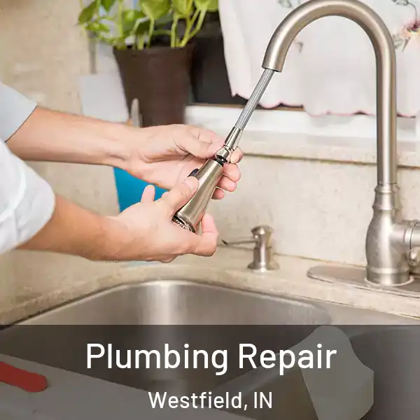  Plumbing Repair Westfield, IN