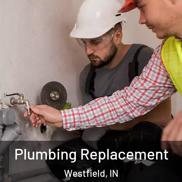  Plumbing Replacement Westfield, IN