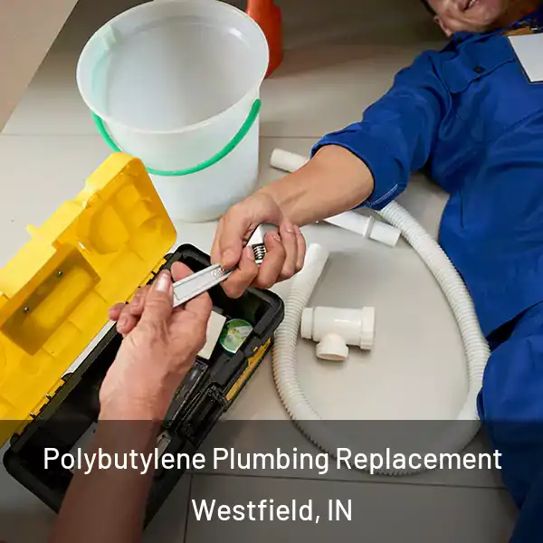  Polybutylene Plumbing Replacement Westfield, IN