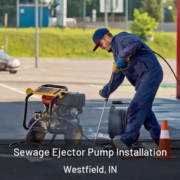  Sewage Ejector Pump Installation Westfield, IN