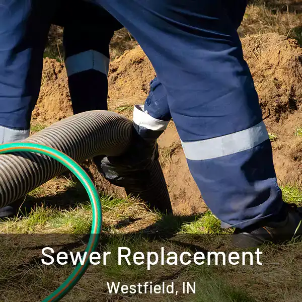  Sewer Replacement Westfield, IN