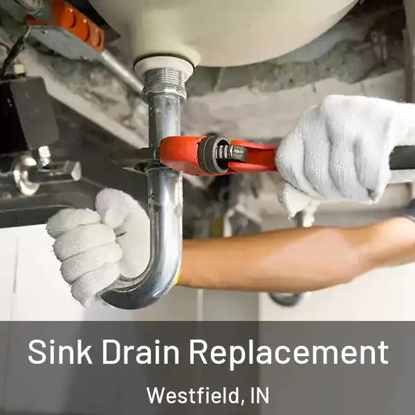  Sink Drain Replacement Westfield, IN