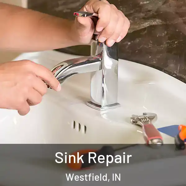  Sink Repair Westfield, IN
