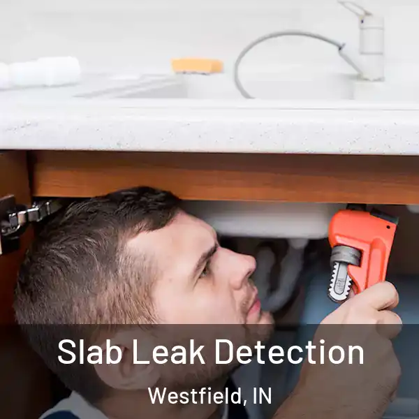  Slab Leak Detection Westfield, IN