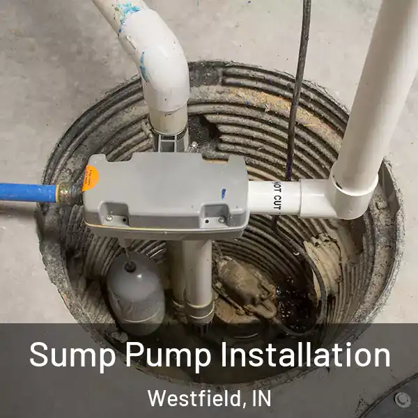  Sump Pump Installation Westfield, IN