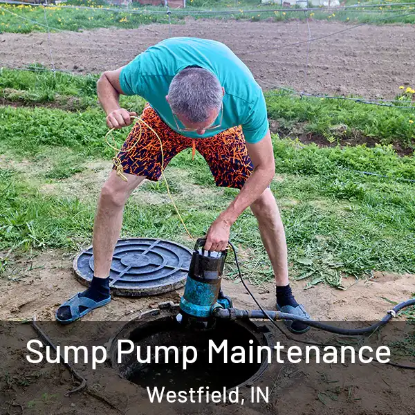  Sump Pump Maintenance Westfield, IN