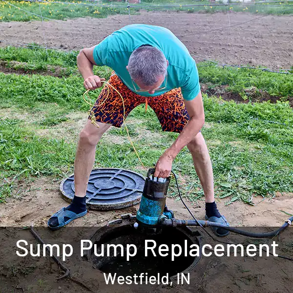  Sump Pump Replacement Westfield, IN