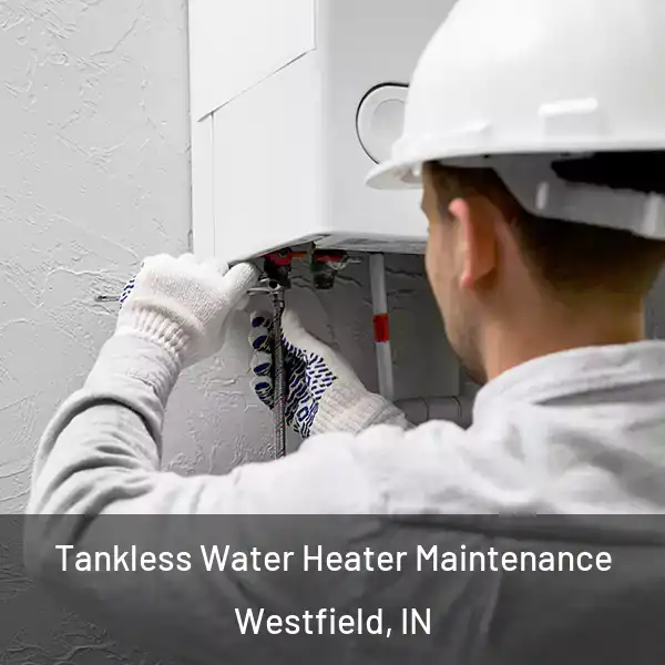  Tankless Water Heater Maintenance Westfield, IN