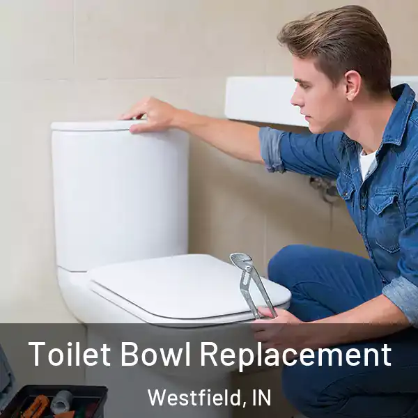  Toilet Bowl Replacement Westfield, IN