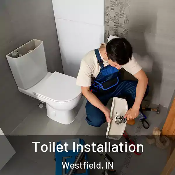  Toilet Installation Westfield, IN
