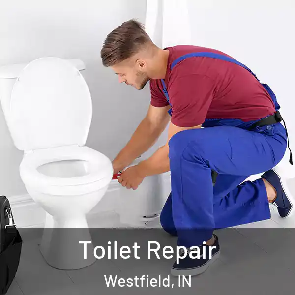  Toilet Repair Westfield, IN