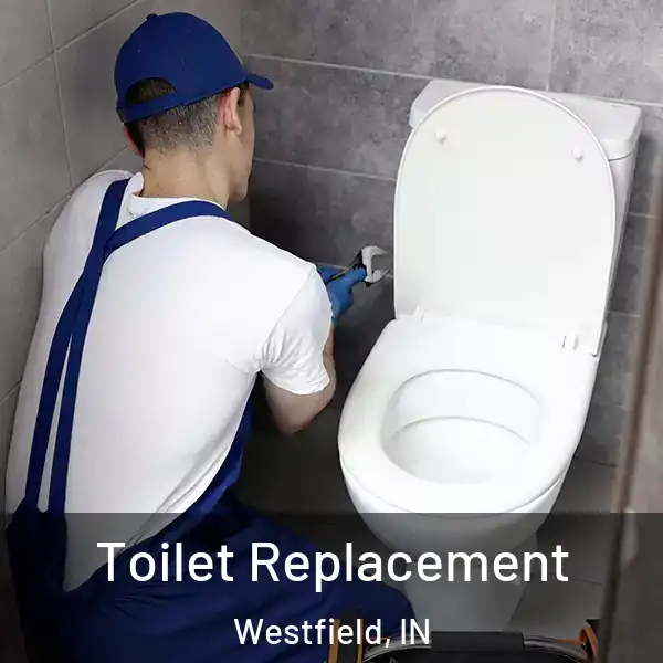 Toilet Replacement Westfield, IN