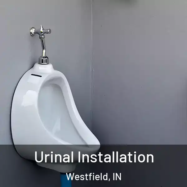  Urinal Installation Westfield, IN