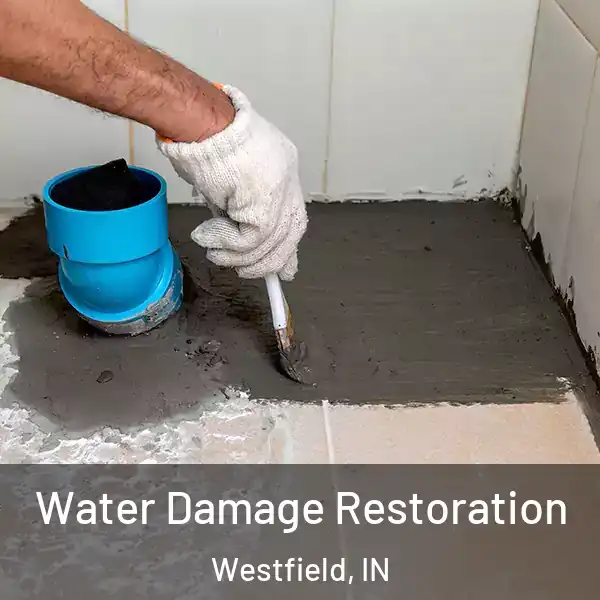  Water Damage Restoration Westfield, IN