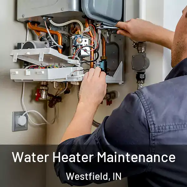  Water Heater Maintenance Westfield, IN