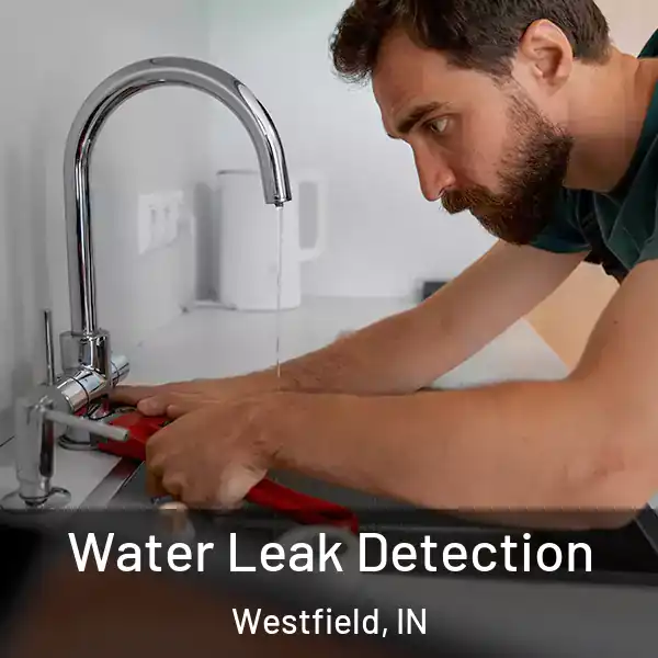  Water Leak Detection Westfield, IN