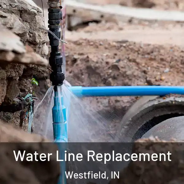  Water Line Replacement Westfield, IN
