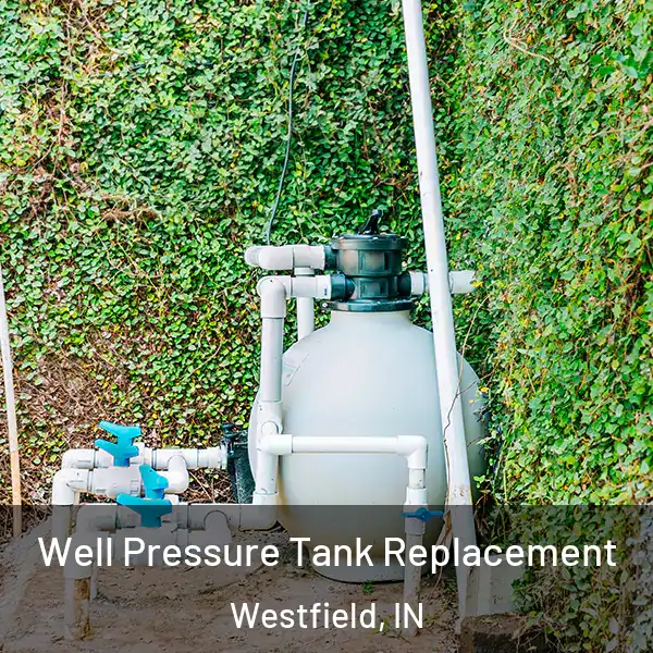  Well Pressure Tank Replacement Westfield, IN