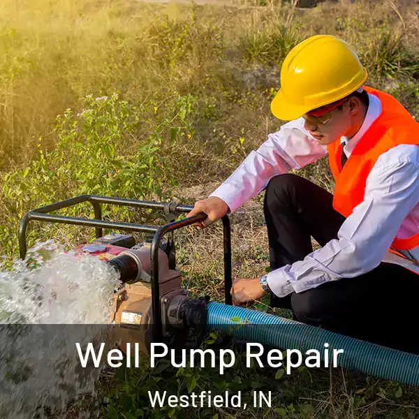  Well Pump Repair Westfield, IN